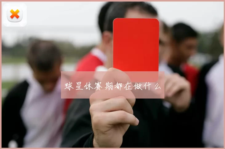 球星休赛期都在做什么