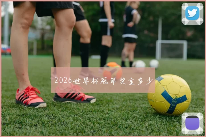 2026世界杯冠军奖金多少